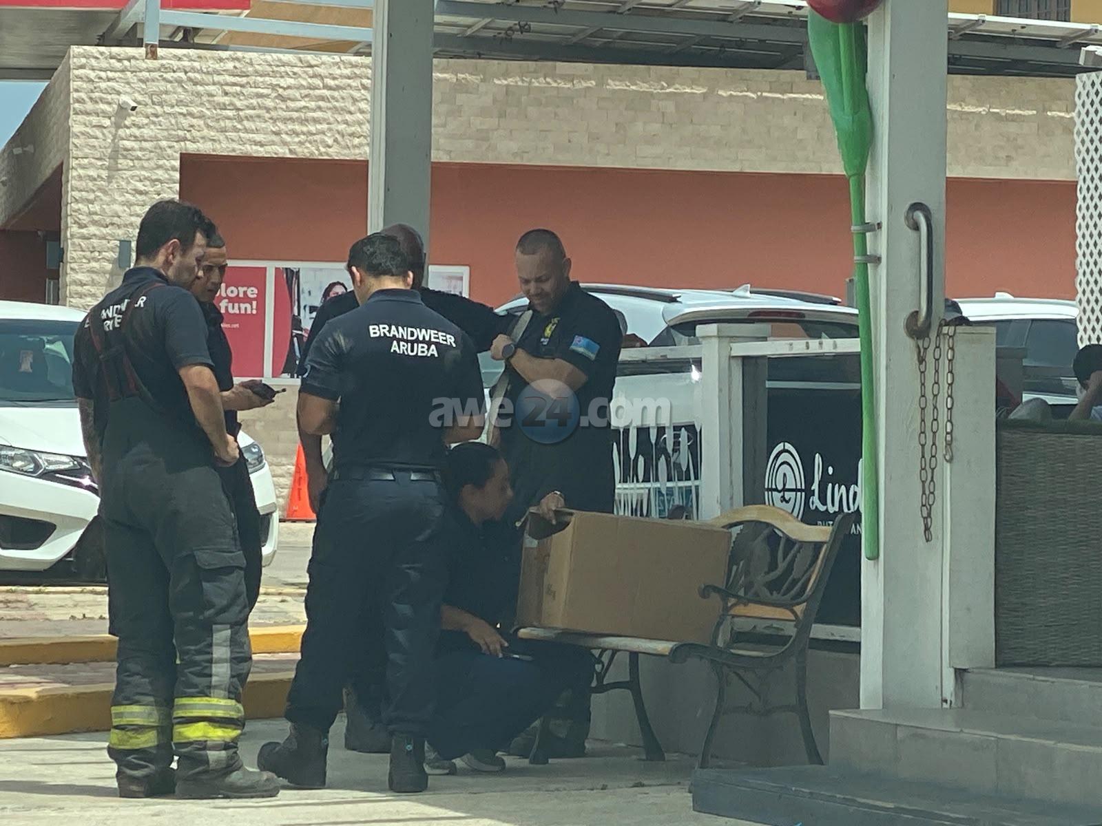 Firefighters Rescue Cat Trapped Inside Car Engine Near Palm Beach