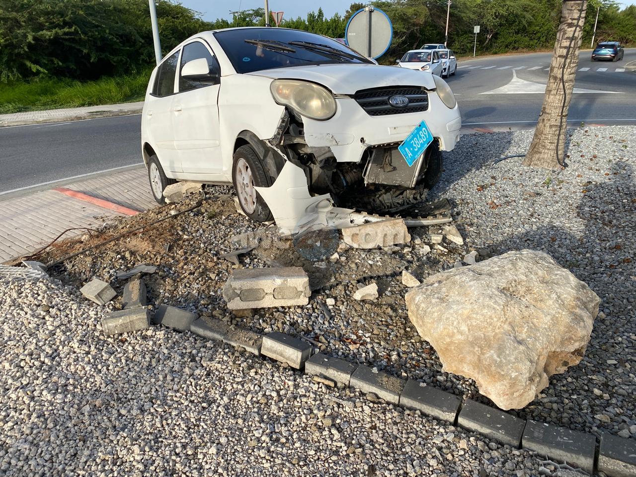 Driver Falls Asleep at Wheel, Mounts Roundabout at Giant Turtle Landmark