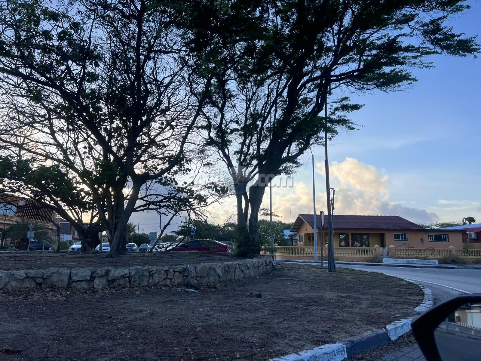 Monday Reflection: Wishing Aruba a Successful Week Ahead