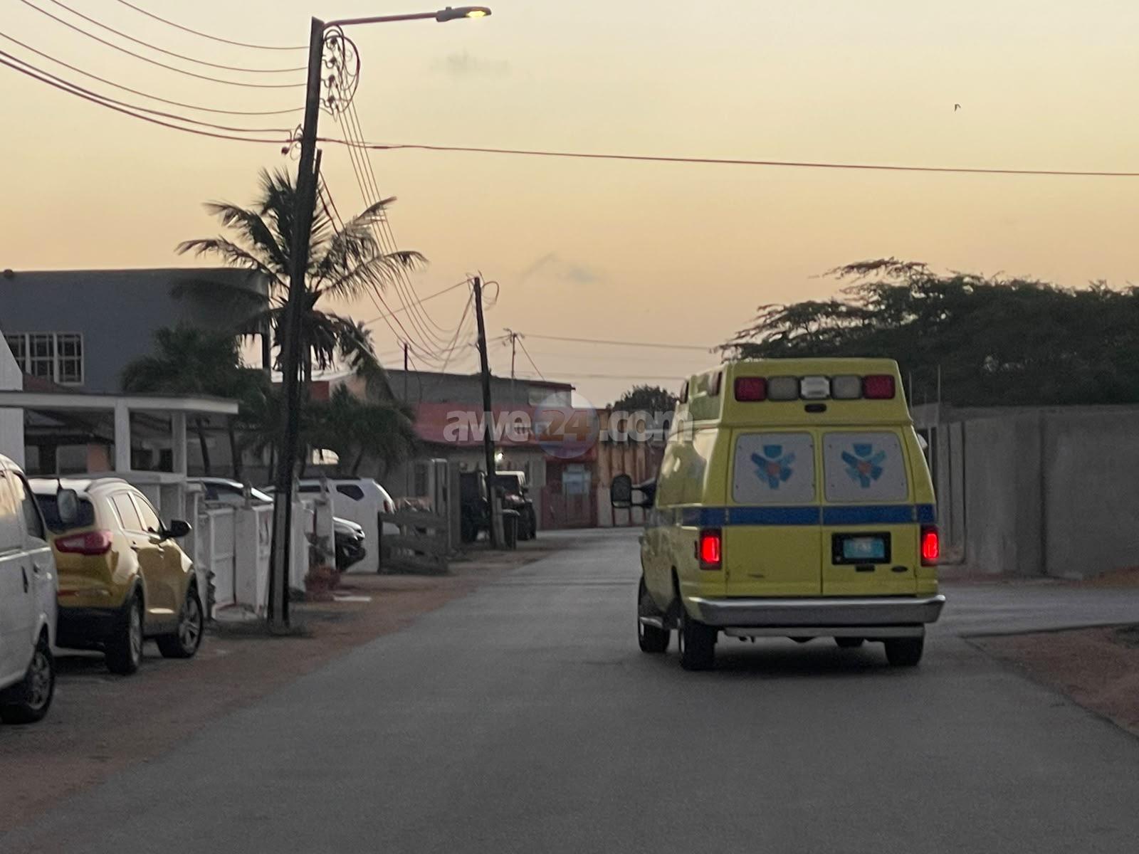 16-Year-Old Girl Bitten by Dog on Laurens Costerstraat in Aruba