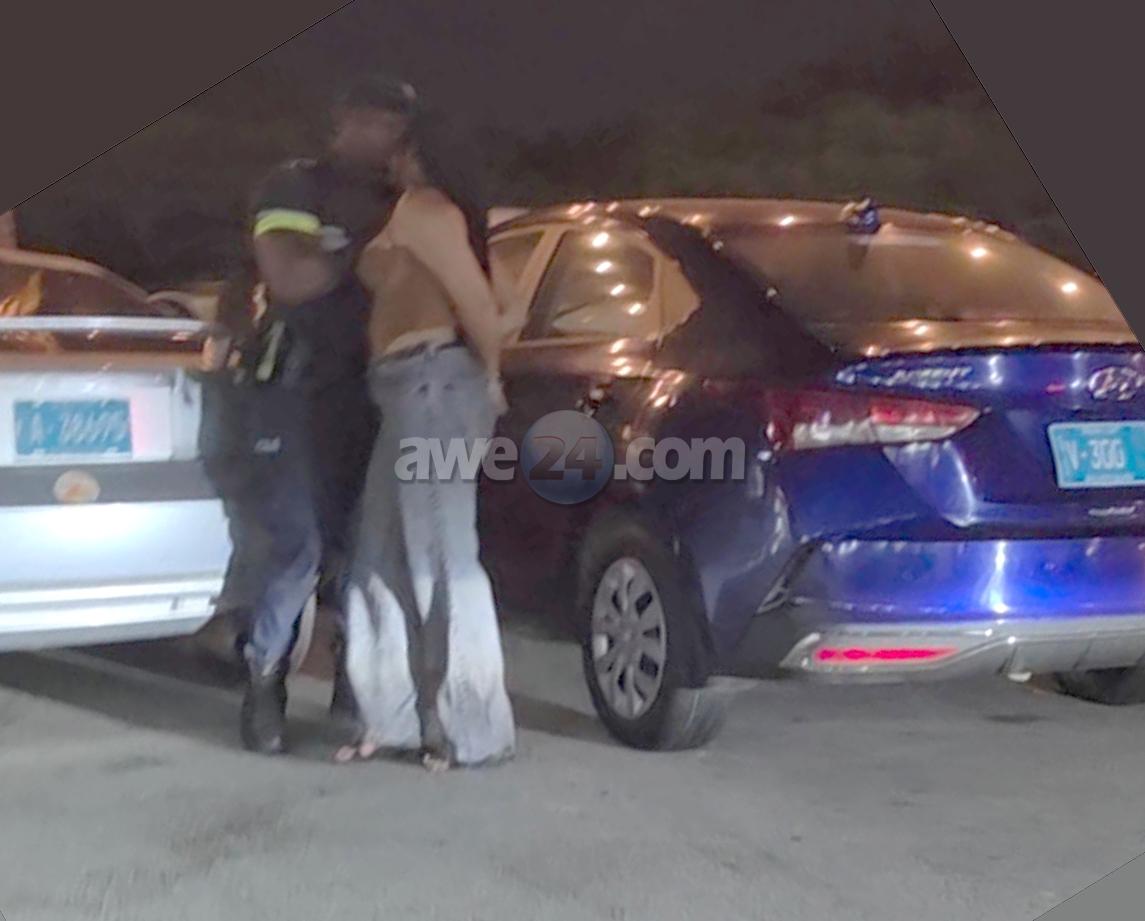 Woman from Netherlands Arrested After Cursing Out Officers During Traffic Stop