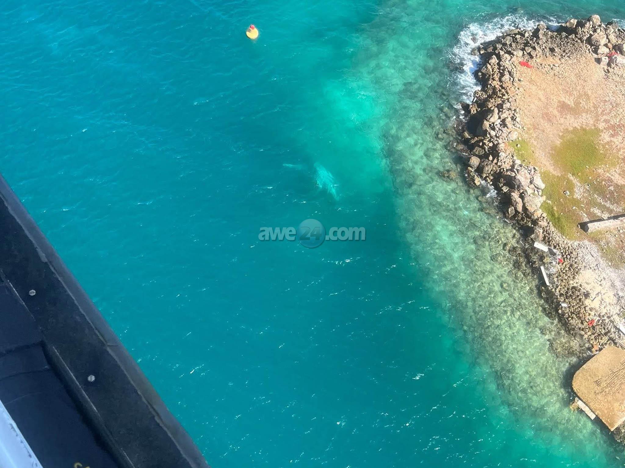 Man Dies After Flipper Cuts Throat While Freeing Trapped Boat in Aruba