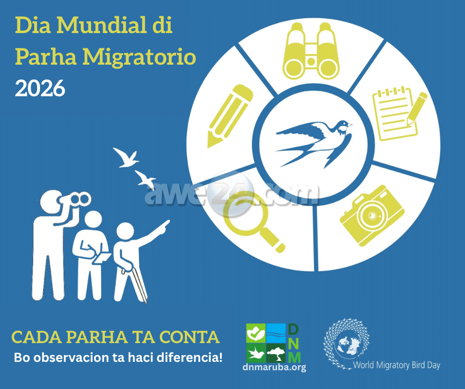 Directie Natuur en Milieu (DNM) ta destaca e tema pa Dia Mundial di Parha Migratorio 2026: “Cada parha ta conta – Bo observacionnan ta haci diferencia”