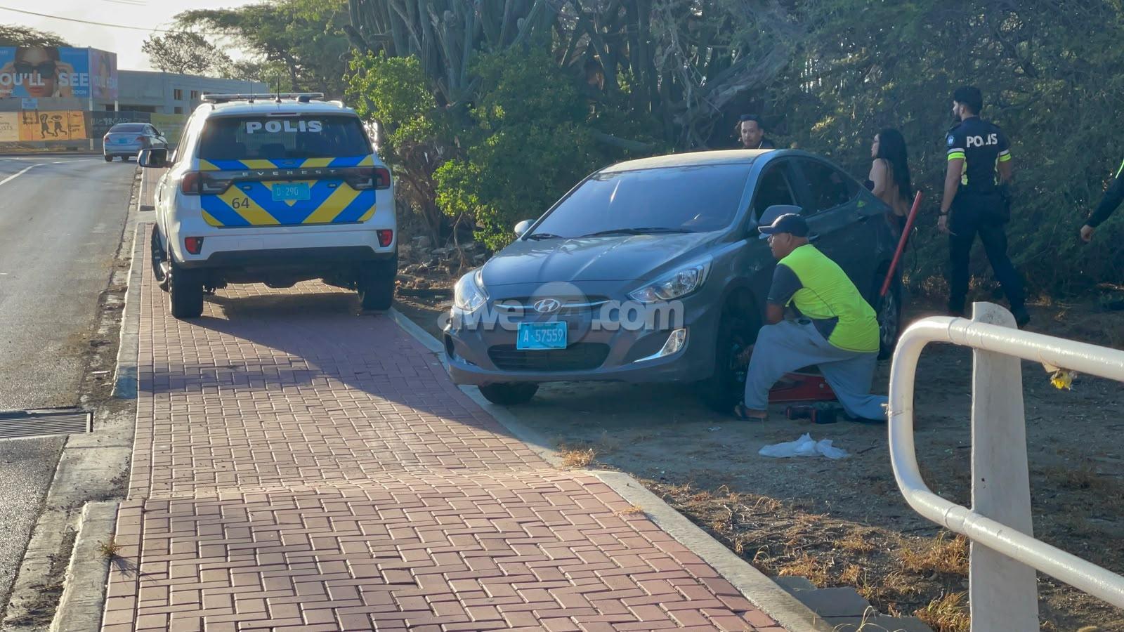 Driver veers off road, crashes into bushes near Wilhelminastraat roundabout