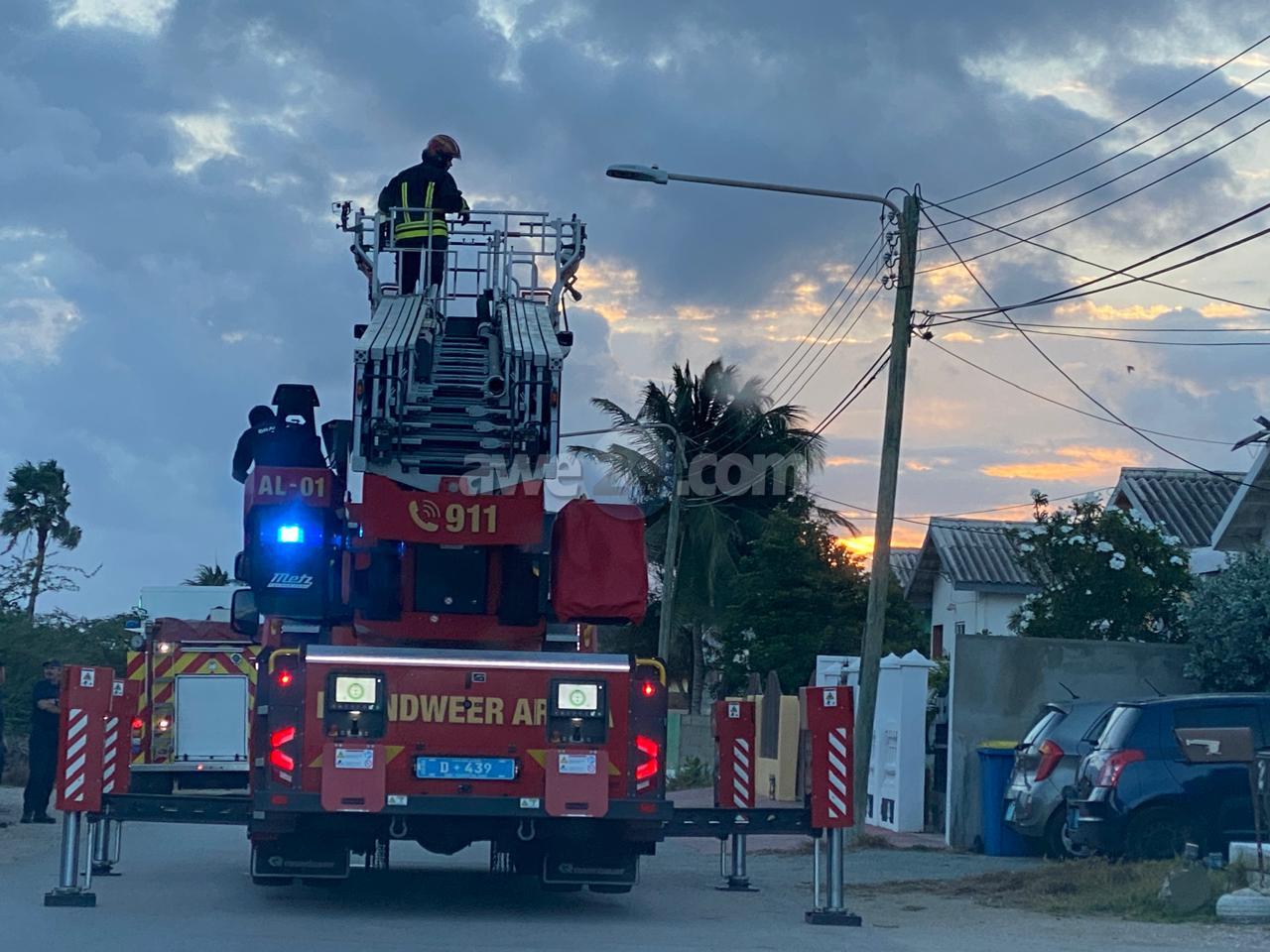 Aruba Firefighters Rescue Cat Stranded Atop Utility Pole